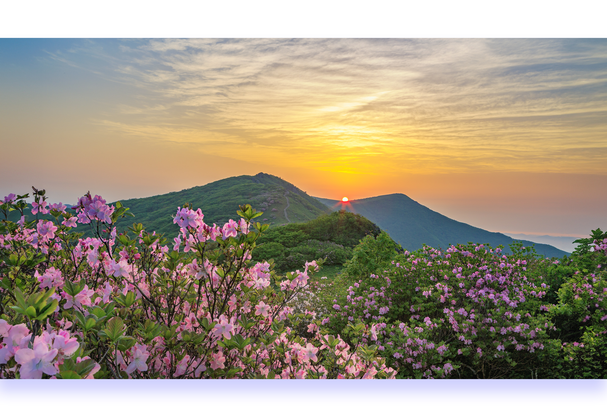 PHOTO BY Parkseungwoo[woonkwang]43woo@hanmail.net(010-8516-2090) | Canon EOS 5D Mark III | 2013:06:03 05:22:39 | ISO-100 | 1/20 sec | f 13 | 35 mm | EV=0 | ● WIDTH:2400 pixels  HEIGHT:1650 pixels