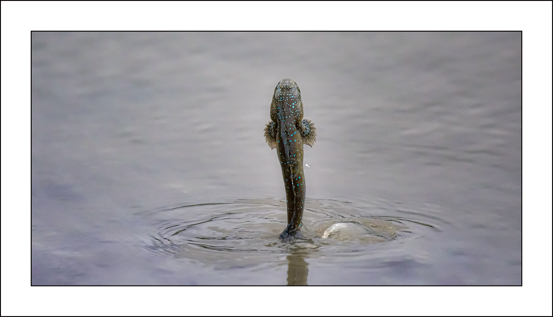   | PHOTO BY : 삿갓/정봉식  |