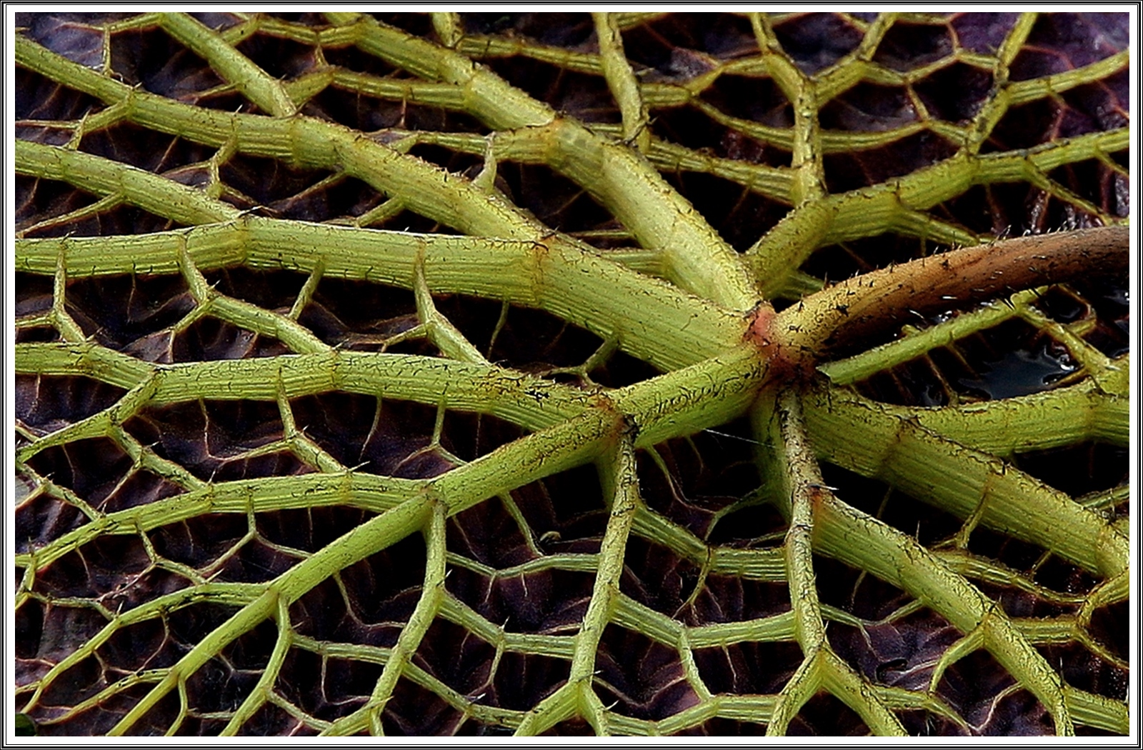 PHOTO BY  | Canon EOS-1D Mark III | 2024:07:04 08:33:19 | ISO-320 | 1/250 sec | f 7.1 | 180 mm | EV=0 | ● WIDTH:3888 pixels  HEIGHT:2592 pixels