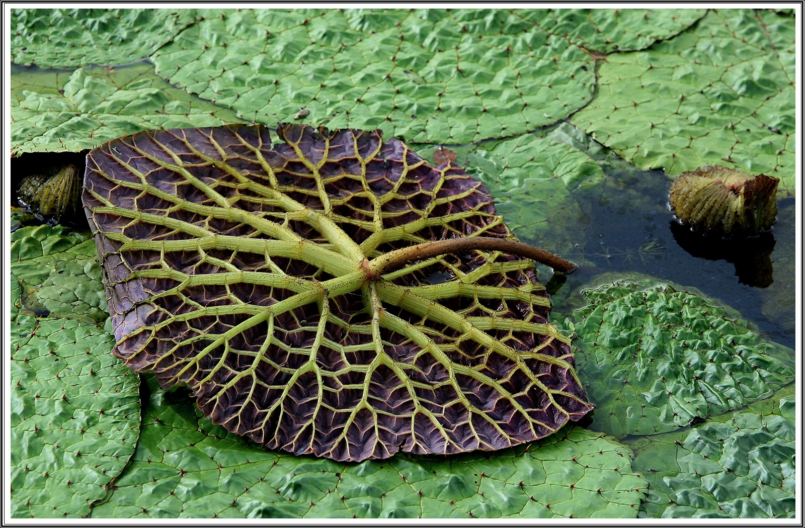 PHOTO BY  | Canon EOS-1D Mark III | 2024:07:04 08:33:19 | ISO-320 | 1/250 sec | f 7.1 | 180 mm | EV=0 | ● WIDTH:3888 pixels  HEIGHT:2592 pixels