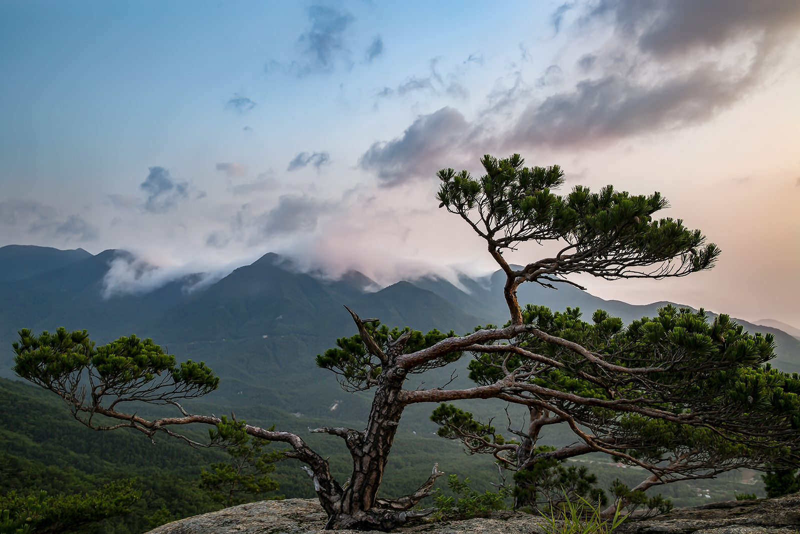PHOTO BY MINKYUKIM | Canon EOS 5D Mark III | 2024:06:24 05:05:52 | ISO-200 | 1/60 sec | f 8 | 28 mm | EV=0 | ● WIDTH:1600 pixels  HEIGHT:1067 pixels