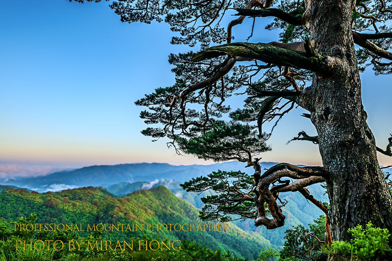 PHOTO BY HONG_MI_RAN | NIKON Z 8 | 2023:06:16 05:15:12 | ISO-200 | 1/80 sec | f 8 | 22 mm | EV=0 | ● WIDTH:1366 pixels  HEIGHT:911 pixels