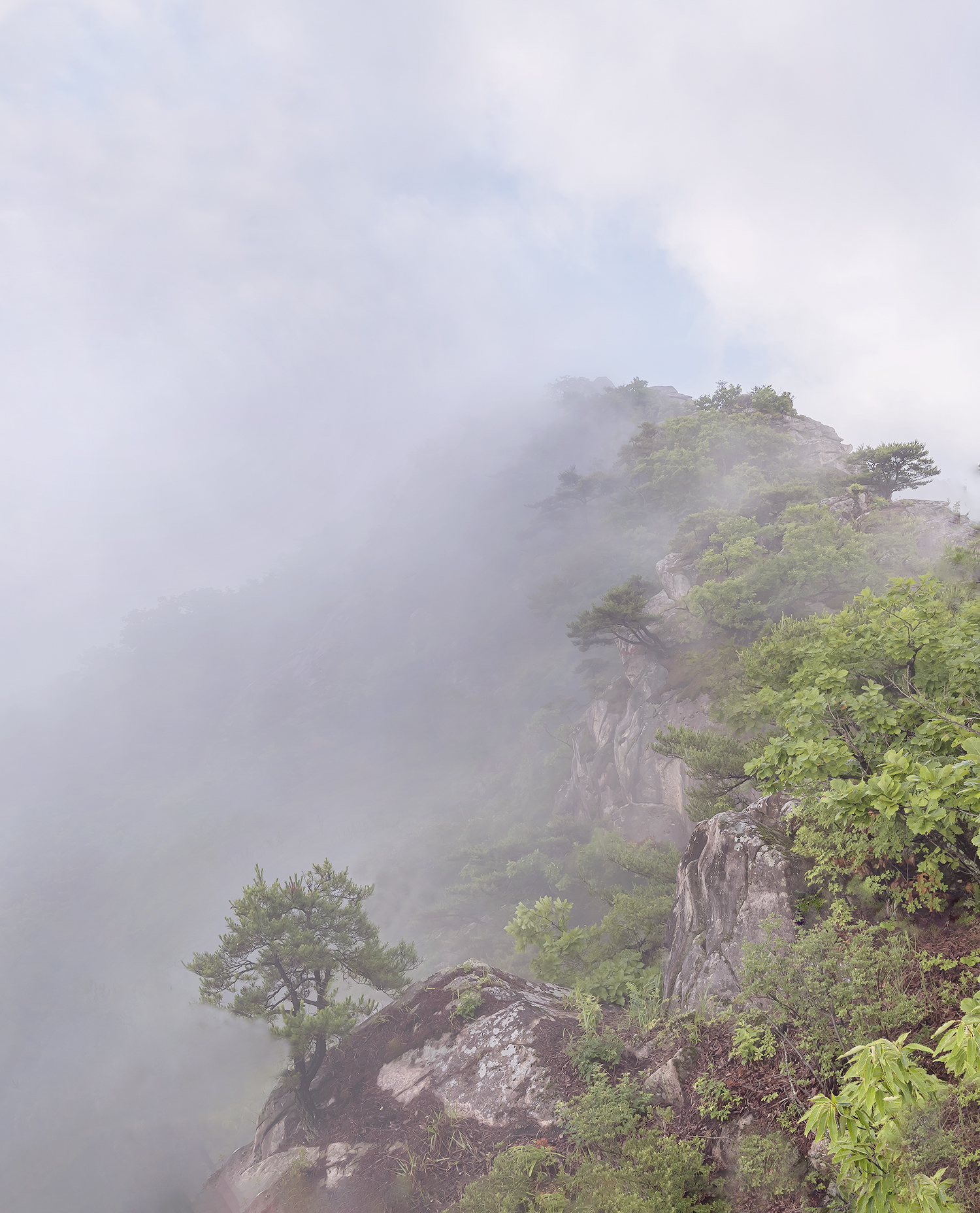 PHOTO BY  | NIKON Z 7_2 | 2024:07:01 08:06:14 | ISO-50 | 1/20 sec | f 11 | 14 mm | EV=0 | ● WIDTH:1500 pixels  HEIGHT:1856 pixels