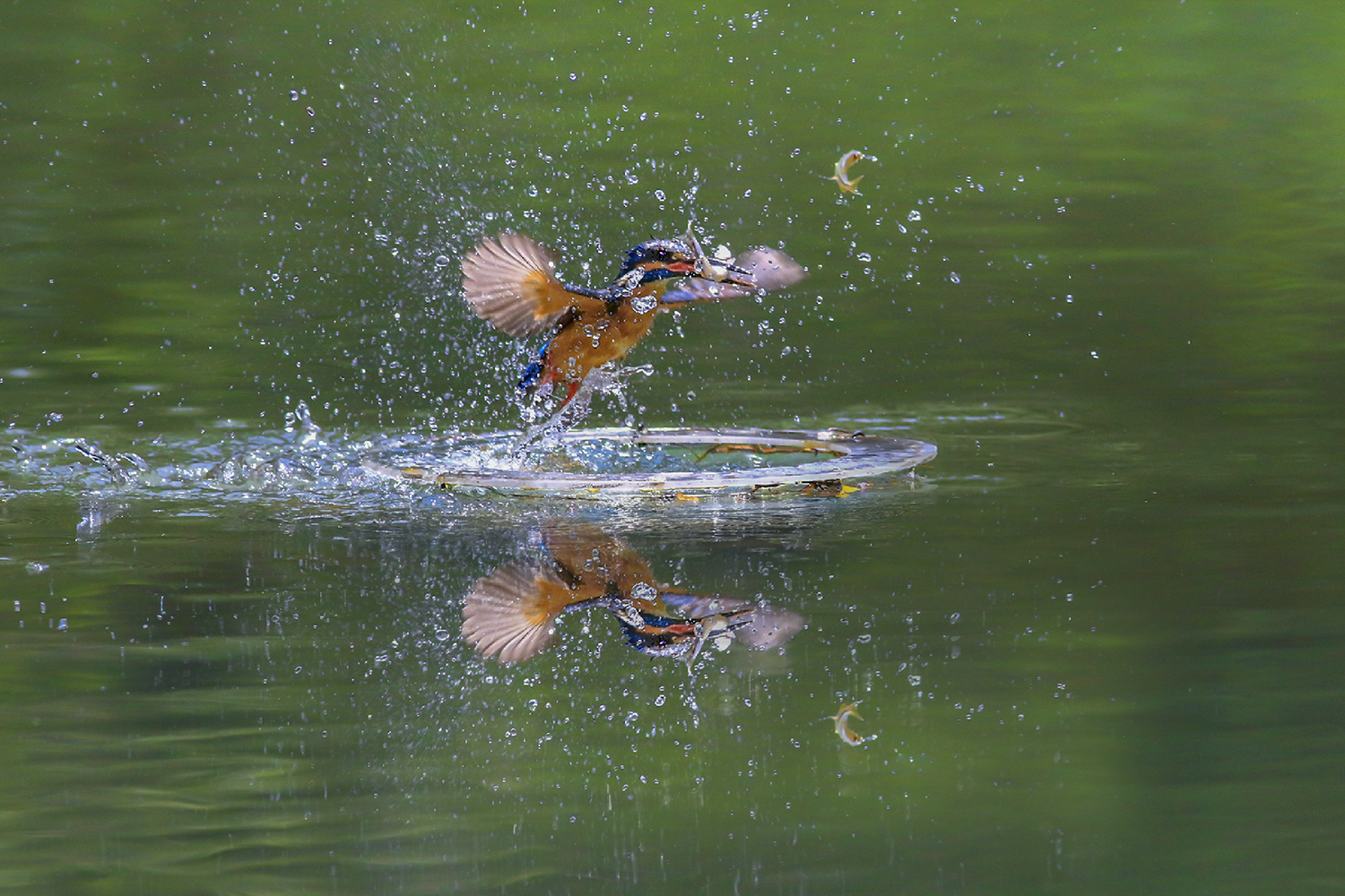 PHOTO BY  | CanonCanon |  | ISO- |  |  |  | EV=0 | ● WIDTH:  HEIGHT: