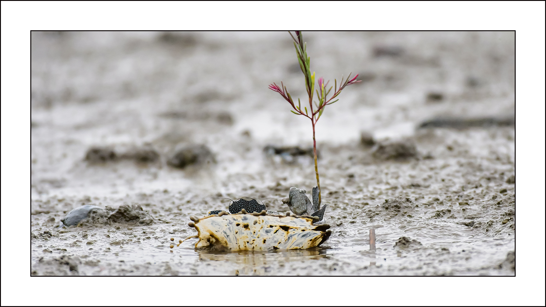   | PHOTO BY : 삿갓/정봉식  |