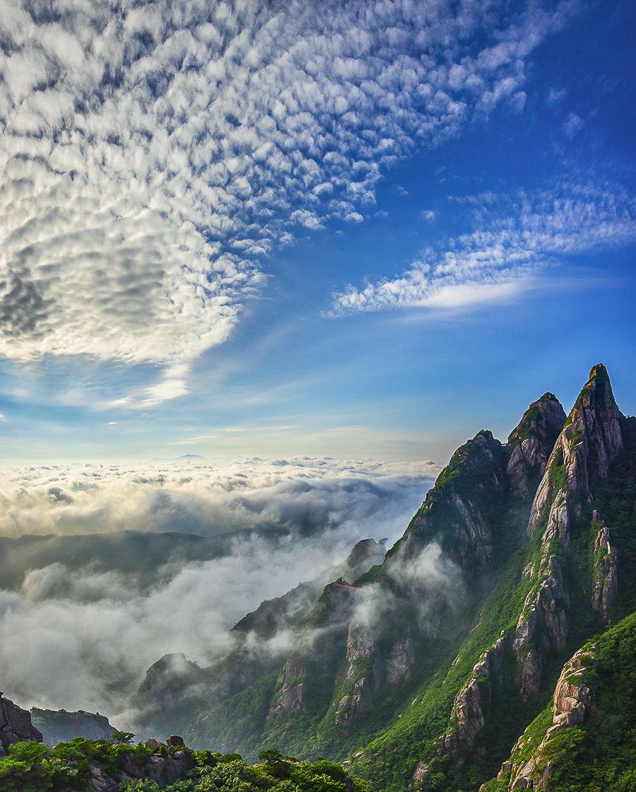 PHOTO BY  | NIKON D810 | 2024:07:04 07:48:44 | ISO-100 | 1/500 sec | f 11 | 20 mm | EV=-1.7 | ● WIDTH:900 pixels  HEIGHT:1120 pixels