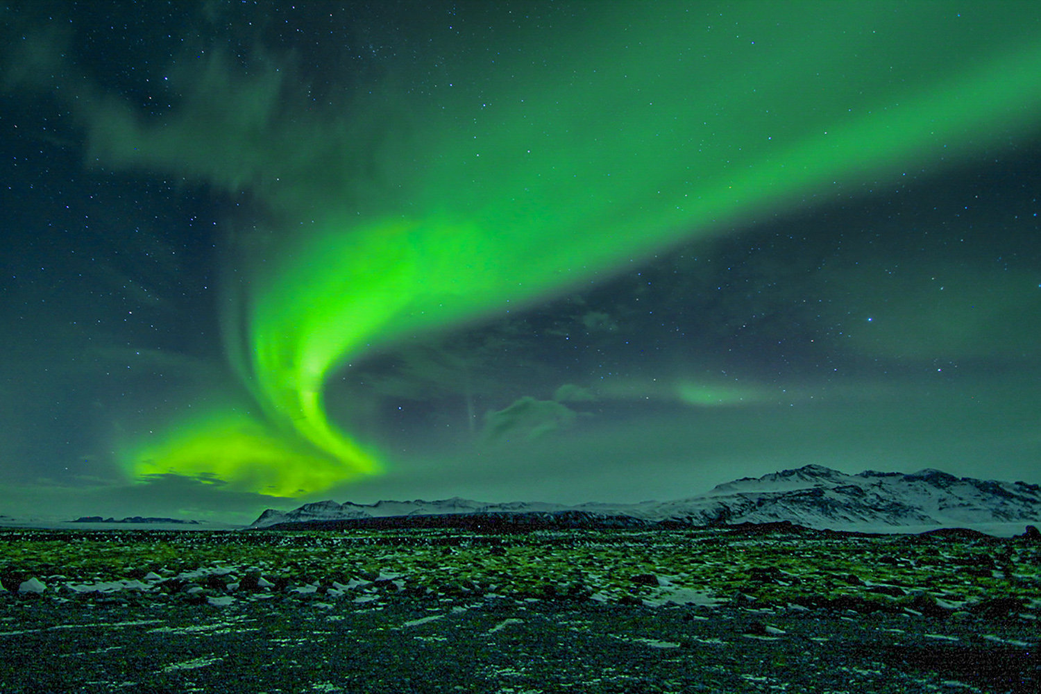 PHOTO BY  | Can |  | ISO- |  |  |  | EV=0 | ● WIDTH:  HEIGHT: