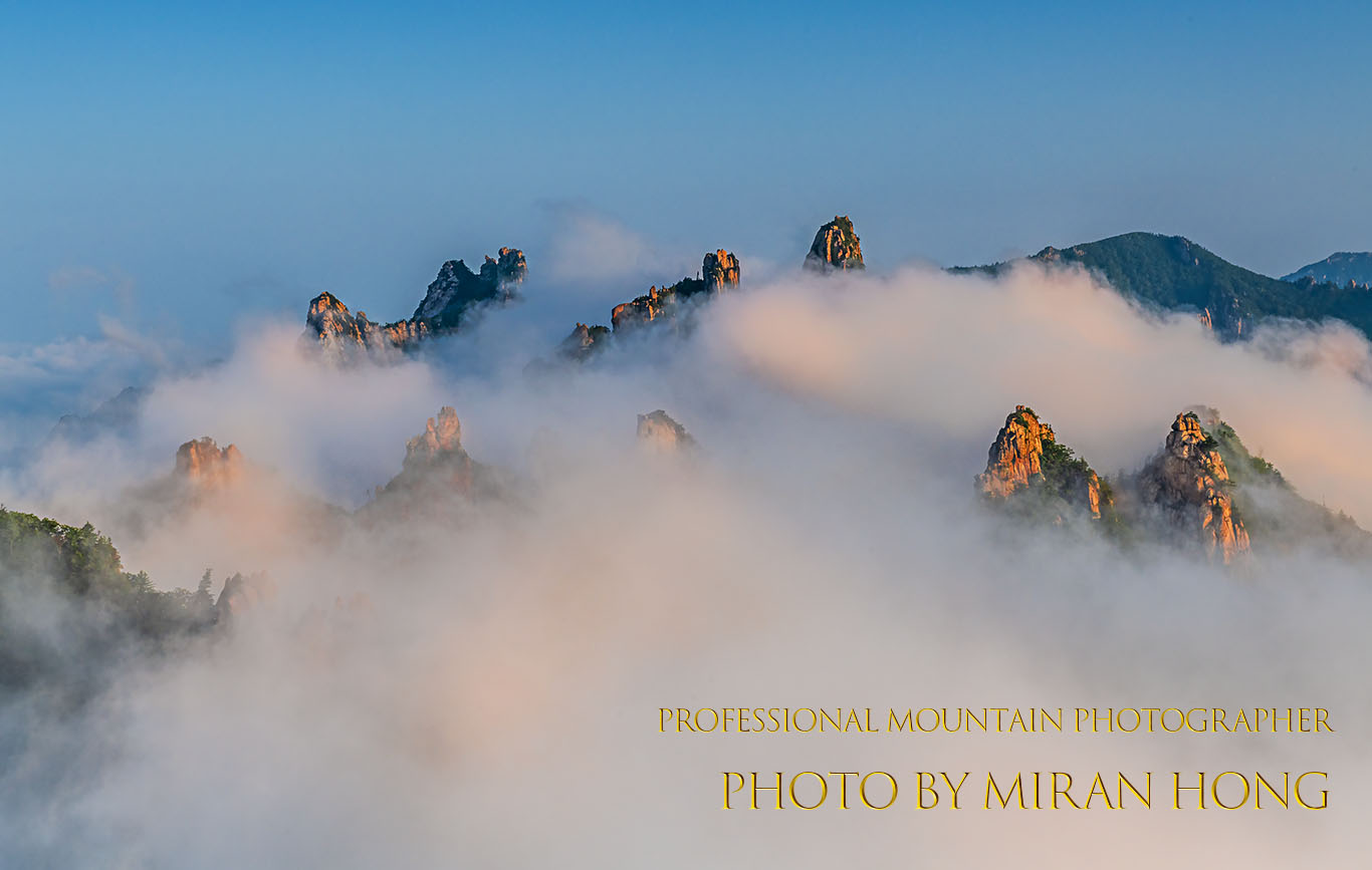 PHOTO BY Hong Mi Ran | NIKON D850 | 2021:08:16 06:24:40 | ISO-200 | 1/60 sec | f 13 | 62 mm | EV=0.3 | ● WIDTH:1366 pixels  HEIGHT:867 pixels