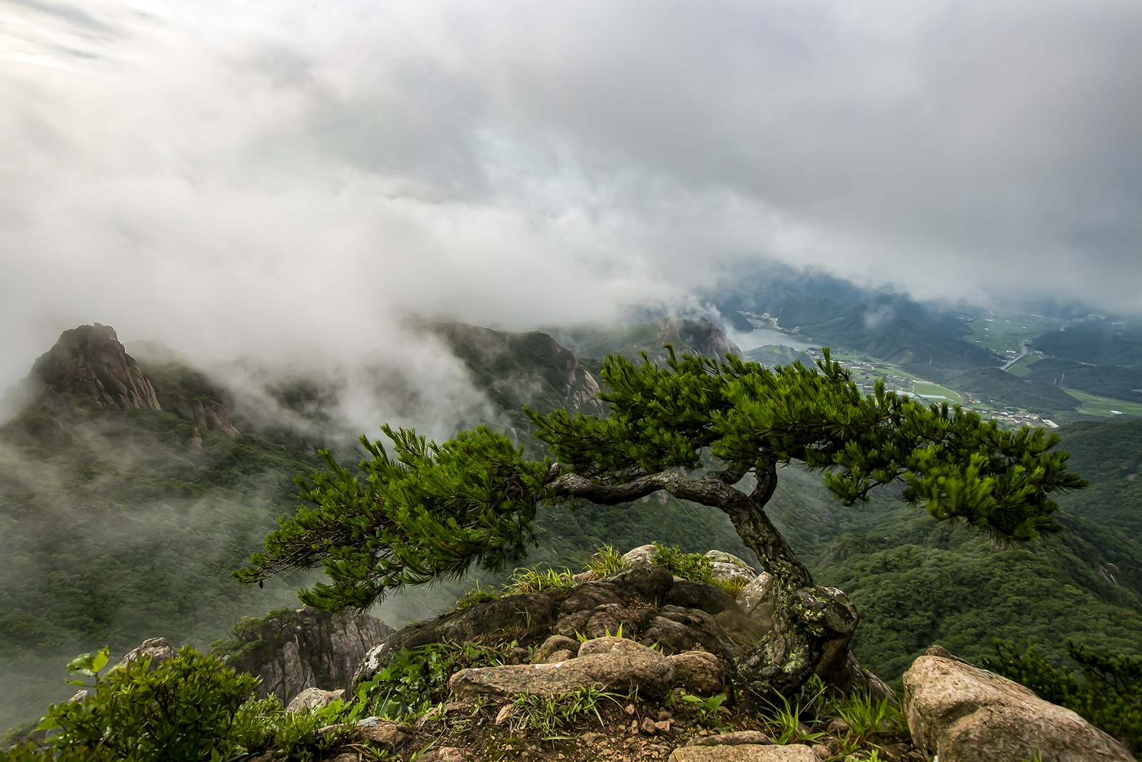 PHOTO BY MINKYUKIM | Canon EOS 5D Mark III | 2024:07:06 07:15:30 | ISO-200 | 1/60 sec | f 14 | 21 mm | EV=0 | ● WIDTH:1600 pixels  HEIGHT:1067 pixels