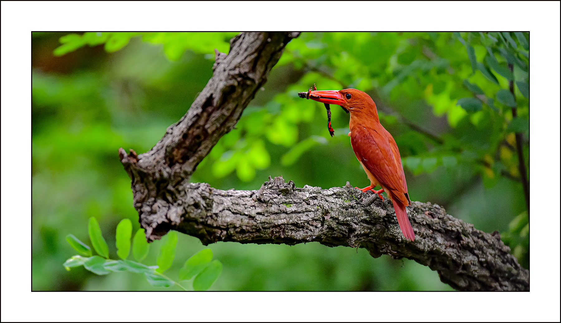   | PHOTO BY : 삿갓/정봉식  |