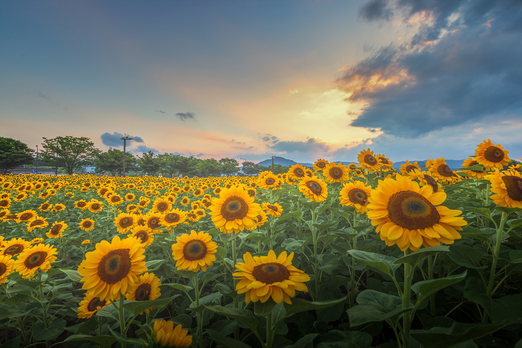   | PHOTO BY : 조현래  |