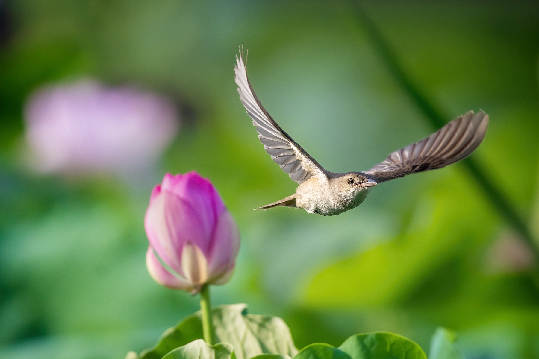 | PHOTO BY : 조현래  |