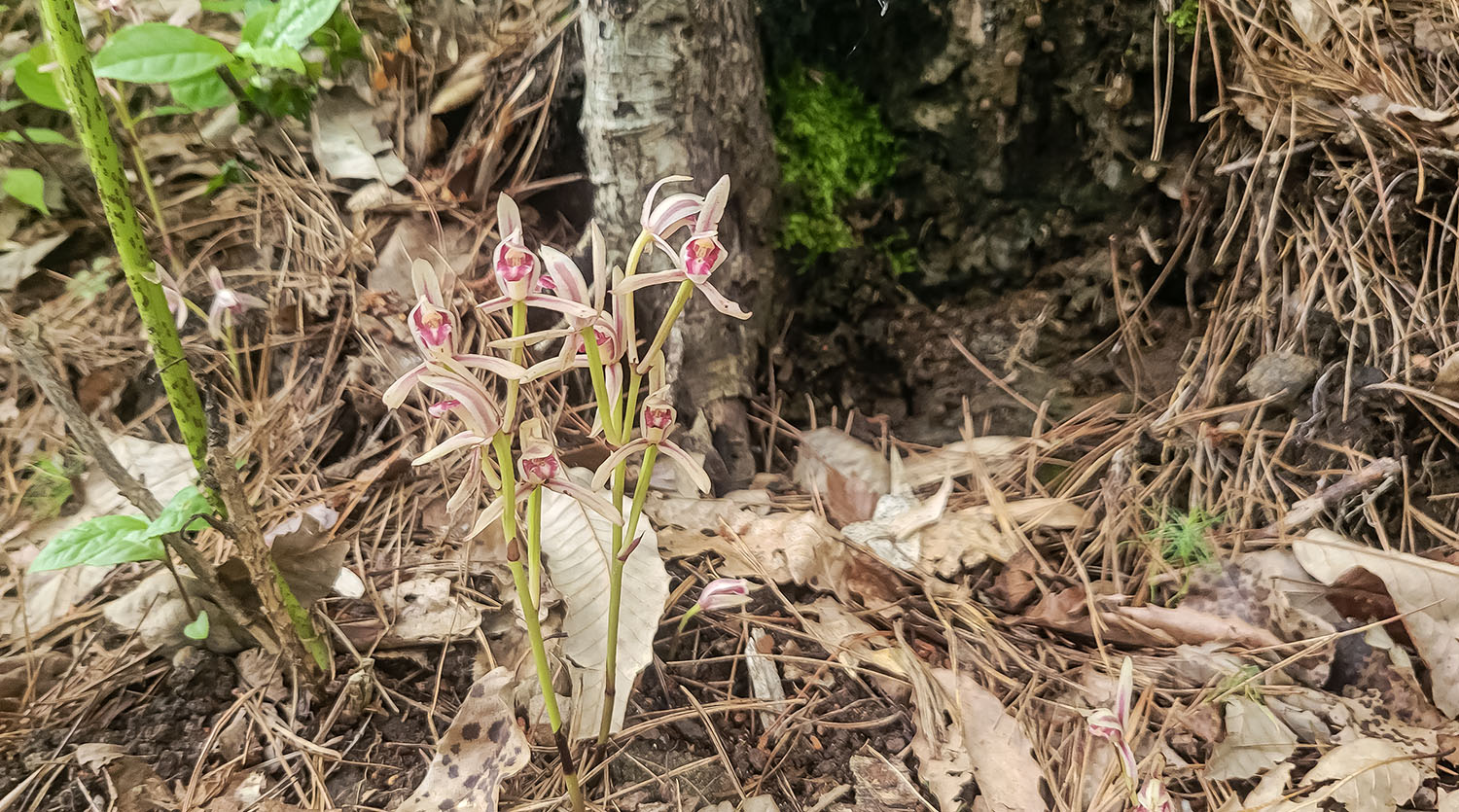 PHOTO BY  | SM-N981N | 2024:07:06 14:25:18 | ISO-250 | 1/60 sec | f 1.8 | 5.4 mm | EV=0 | ● WIDTH:1500 pixels  HEIGHT:835 pixels