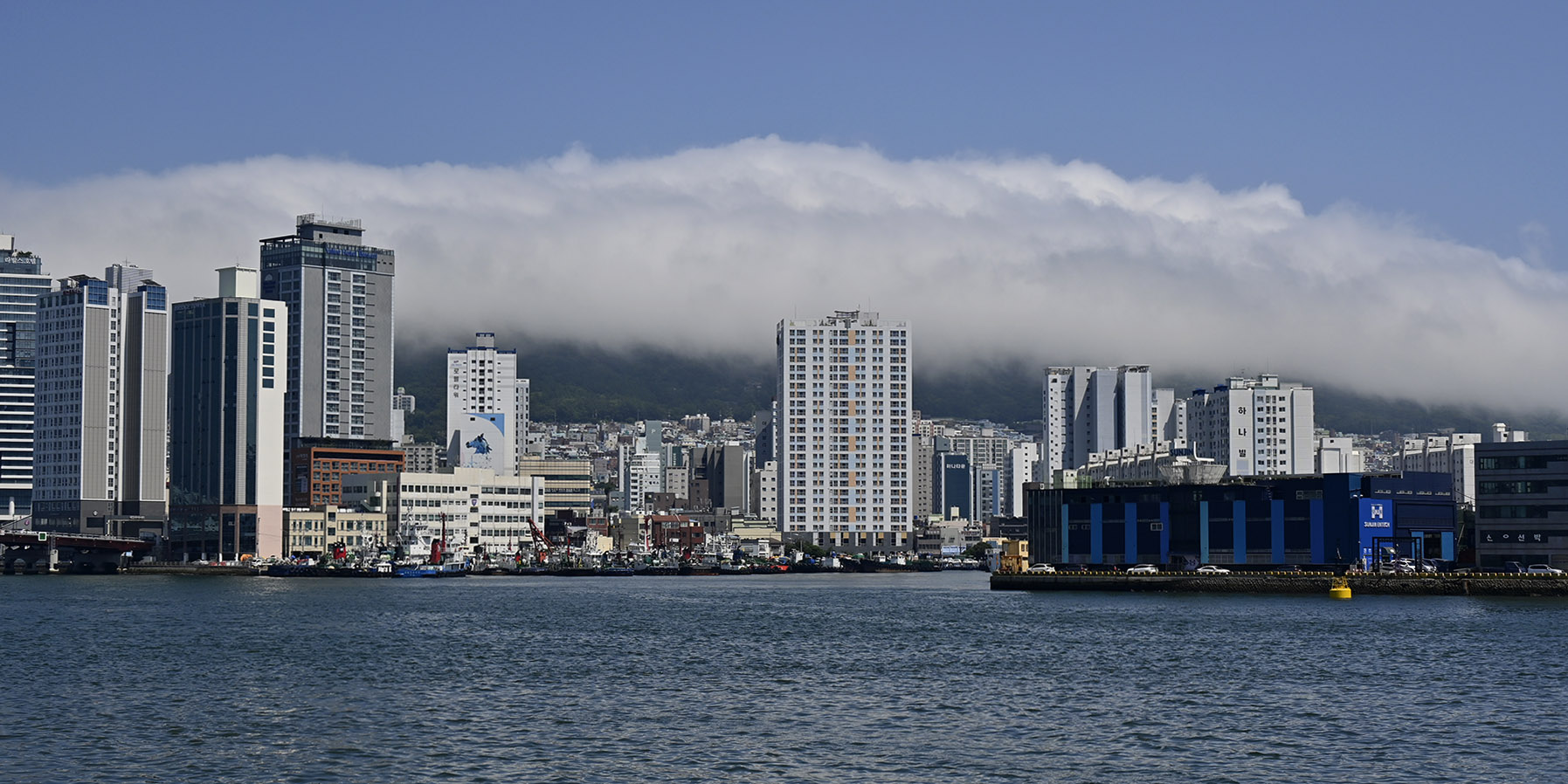 PHOTO BY HAN_JONGSOO | NIKON Z fc | 2024:07:05 14:19:59 | ISO-100 | 1/2500 sec | f 5 | 36 mm | EV=0 | ● WIDTH:1795 pixels  HEIGHT:898 pixels