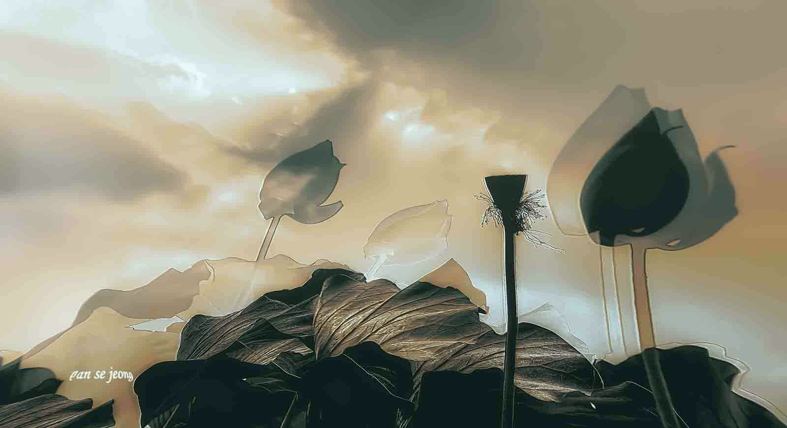 PHOTO BY jps | Canon EOS R6 | 2024:06:28 06:18:12 | ISO-200 | 1/320 sec | f 6.3 | 233 mm | EV=-0.7 | ● WIDTH:1600 pixels  HEIGHT:870 pixels