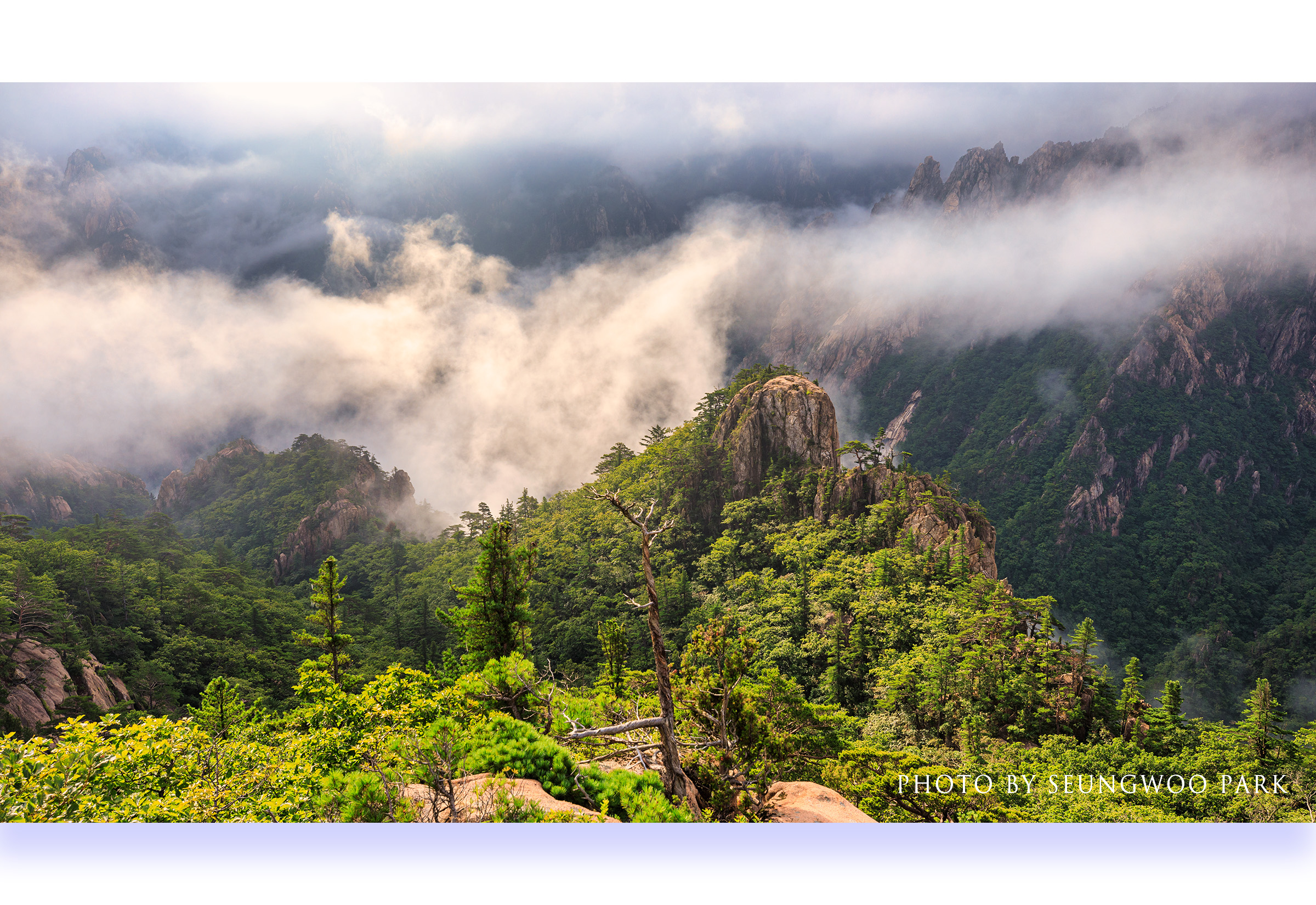 PHOTO BY photographer
PARK SEUNGWOO
S.KOREA | Canon EOS 5D Mark IV | 2022:07:30 07:56:45 | ISO-100 | 1/100 sec | f 8 | 29 mm | EV=0 | ● WIDTH:2400 pixels  HEIGHT:1650 pixels