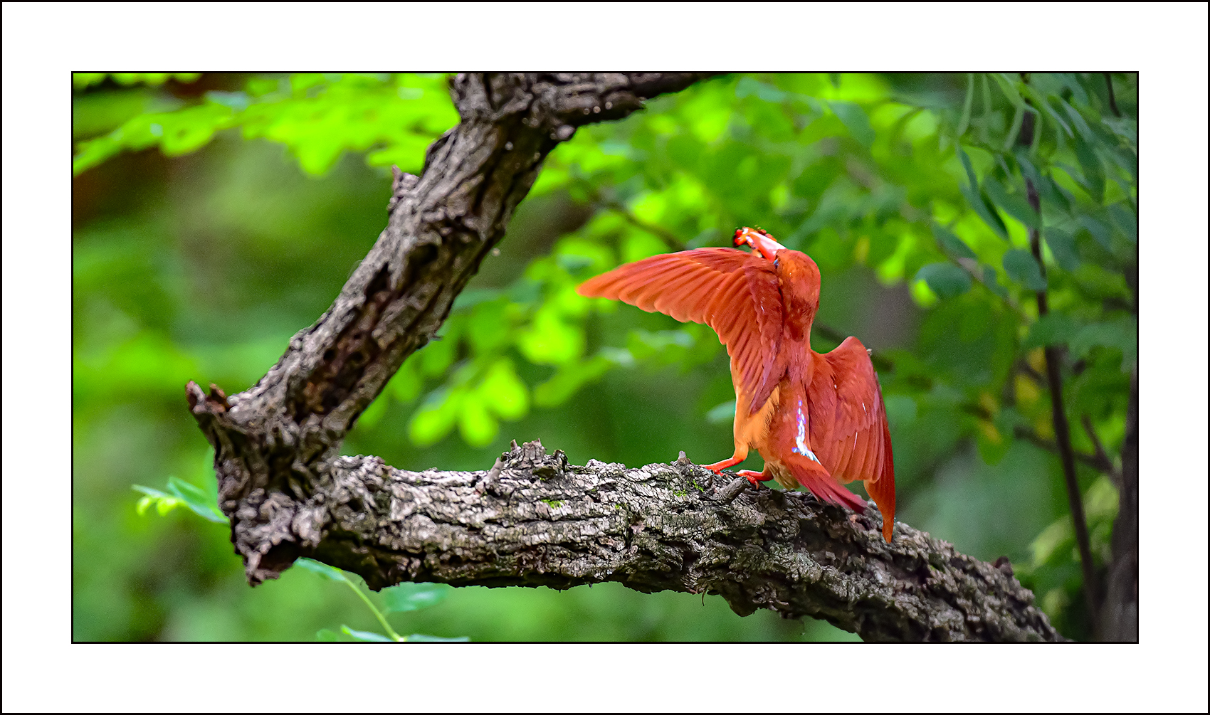   | PHOTO BY : 삿갓/정봉식  |