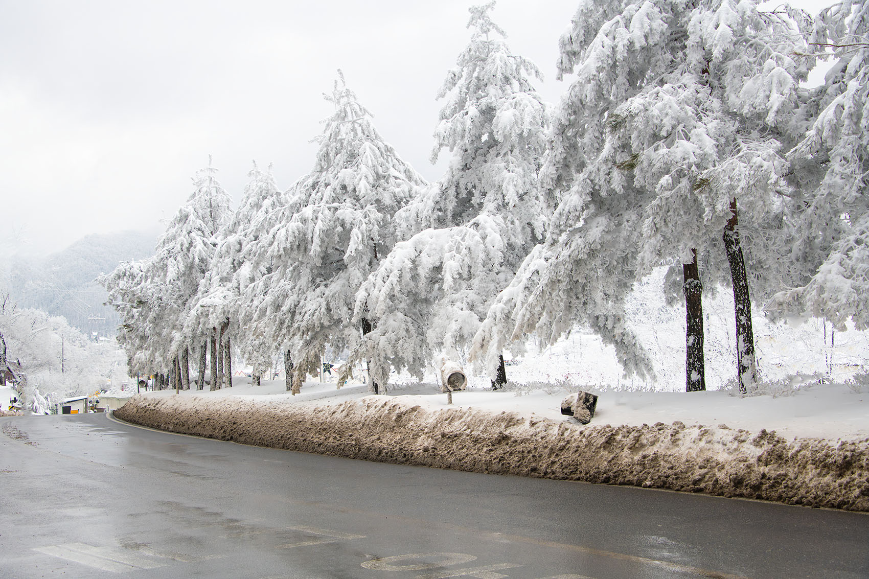 PHOTO BY  | NIKON D850 | 2024:02:24 13:29:28 | ISO-400 | 1/1600 sec | f 8 | 55 mm | EV=0 | ● WIDTH:1700 pixels  HEIGHT:1133 pixels