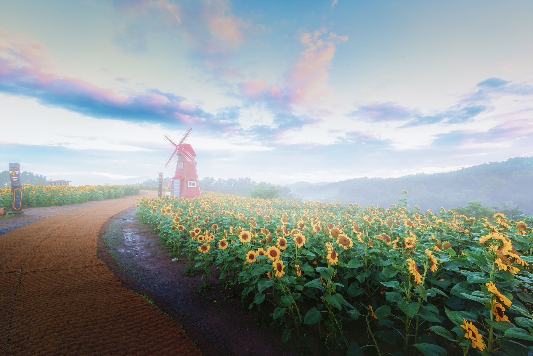 | PHOTO BY : 조현래  |