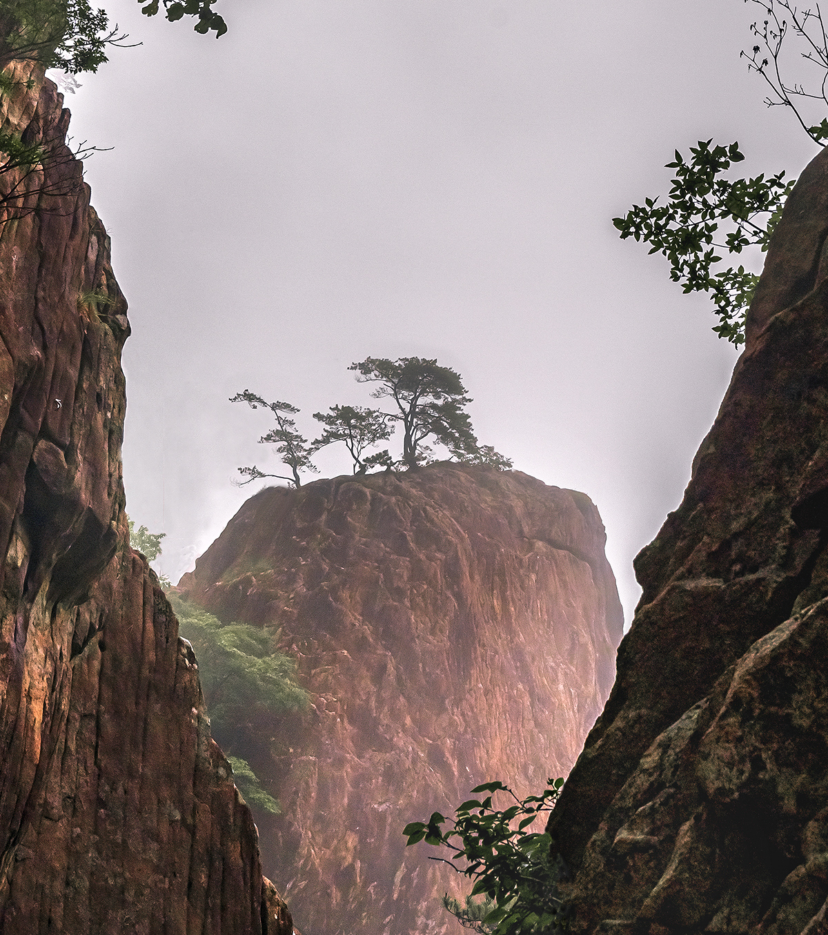 PHOTO BY  | NIKON Z 7_2 | 2024:06:23 16:05:28 | ISO-200 | 1/320 sec | f 11 | 24 mm | EV=0 | ● WIDTH:1200 pixels  HEIGHT:1355 pixels