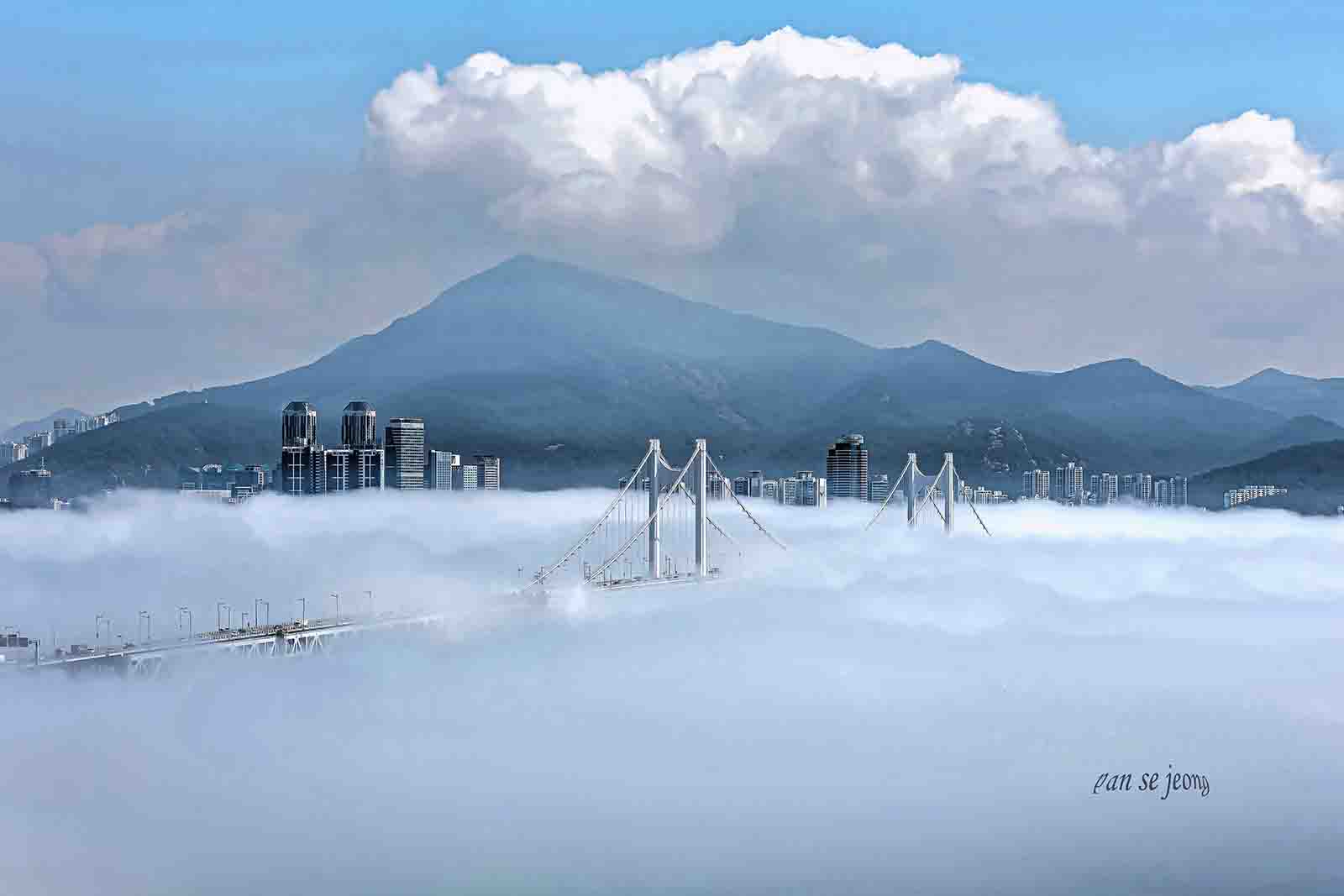 PHOTO BY jps | Canon EOS R6 | 2024:06:28 10:28:38 | ISO-200 | 1/400 sec | f 13 | 92 mm | EV=0 | ● WIDTH:1600 pixels  HEIGHT:1067 pixels