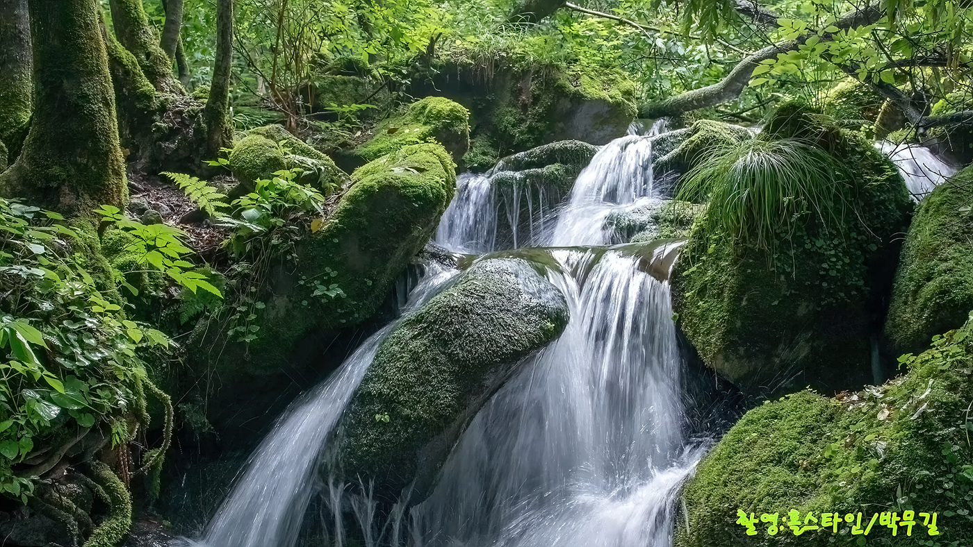   | PHOTO BY : 홀스타인/박무길  |