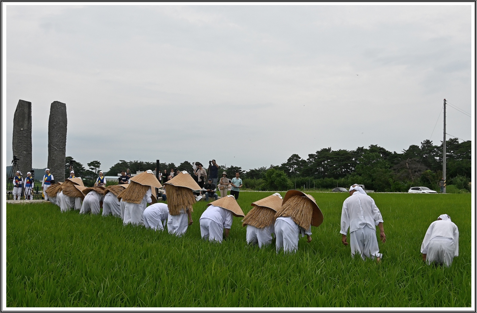 PHOTO BY  | NIKON Z 7_2 | 2024:07:05 22:35:52 | ISO-400 | 1/500 sec | f 11 | 24 mm | EV=0.3 | ● WIDTH:5408 pixels  HEIGHT:3600 pixels