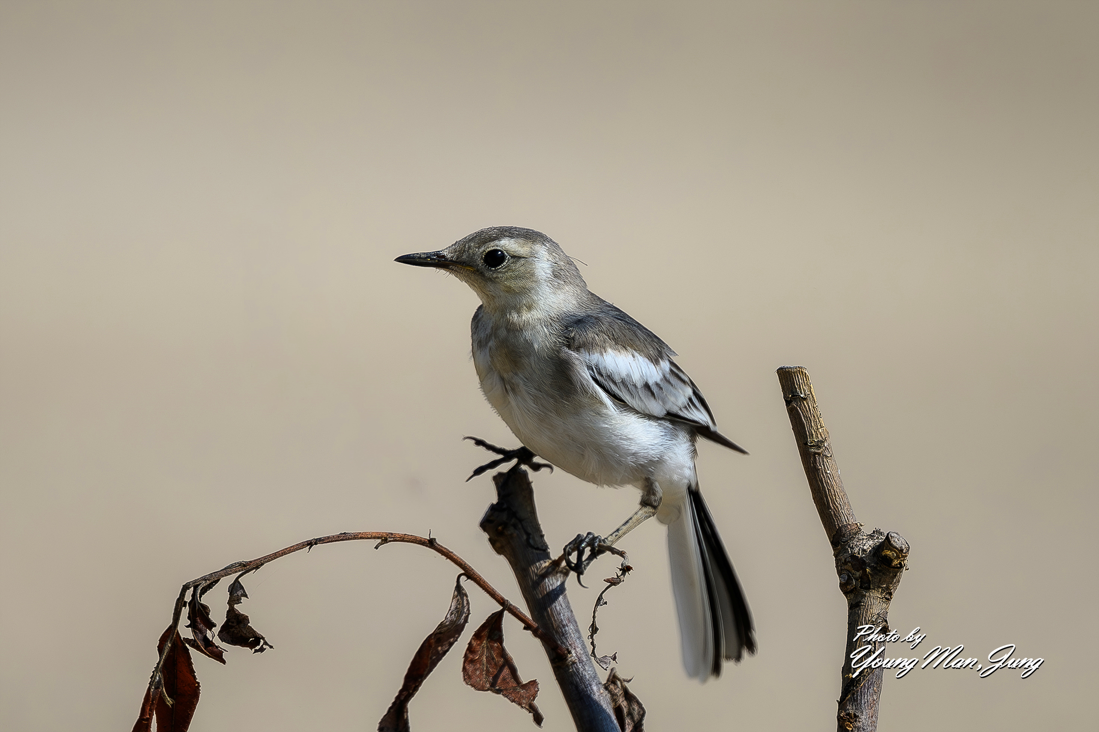   | PHOTO BY : 카파/정영만  |