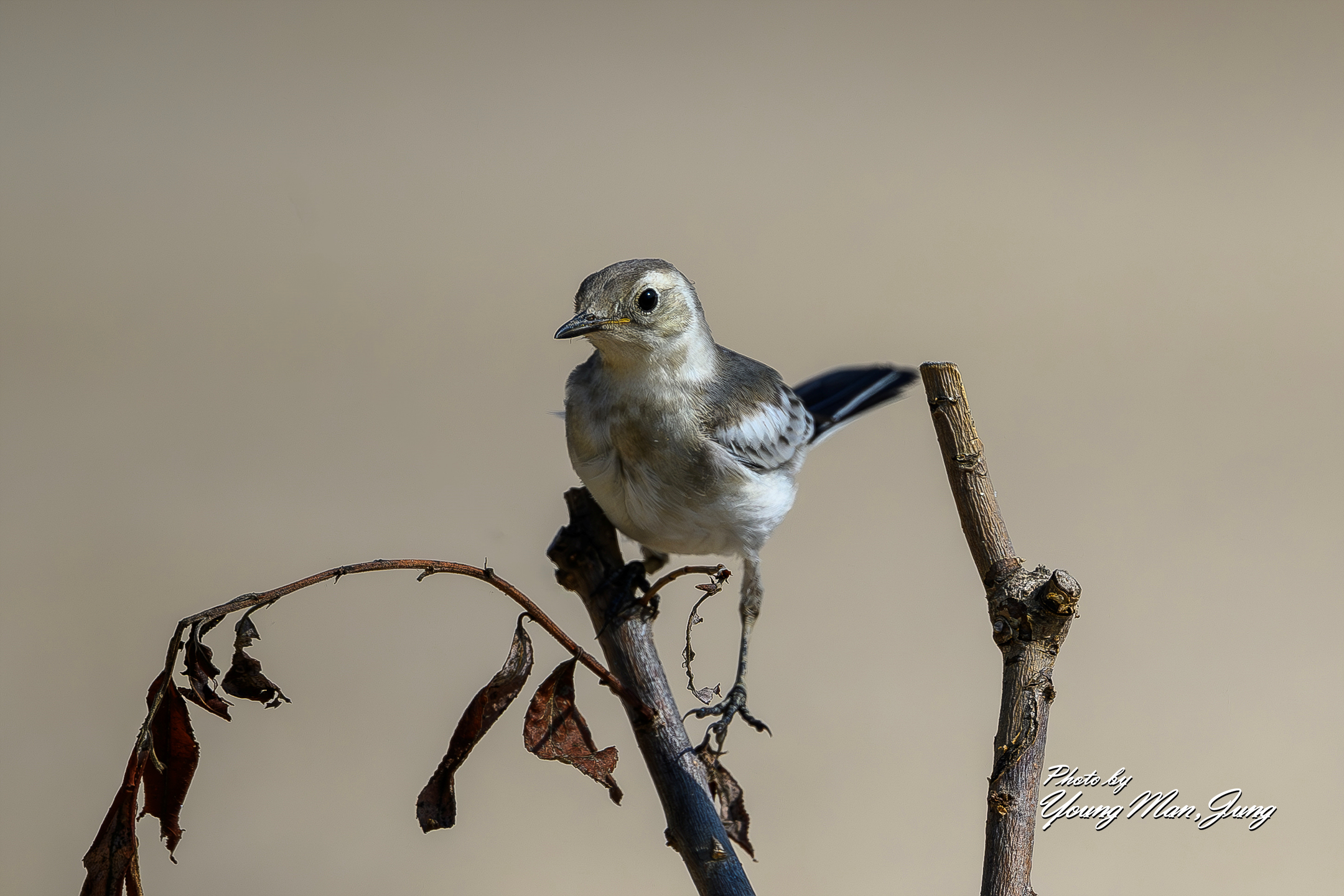   | PHOTO BY : 카파/정영만  |