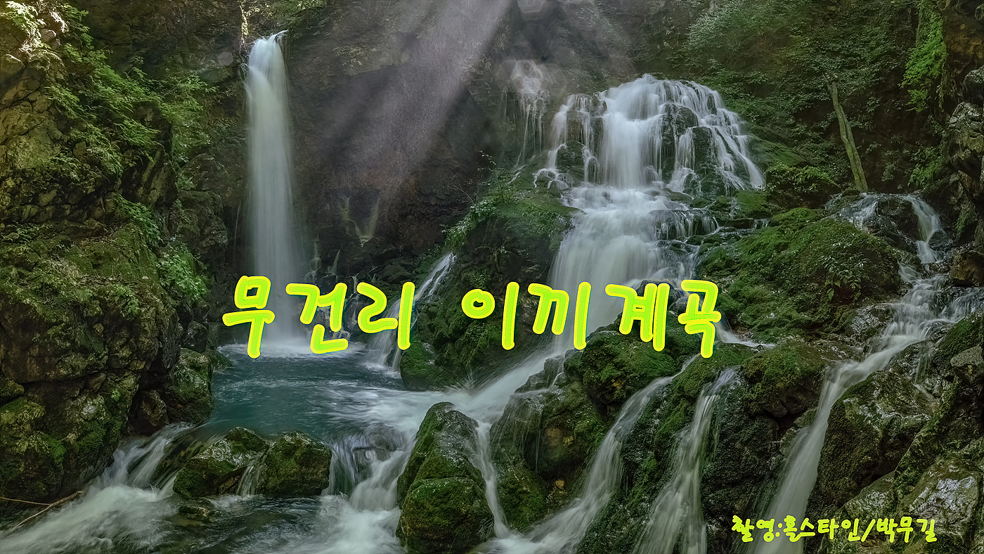   | PHOTO BY : 홀스타인/박무길  |