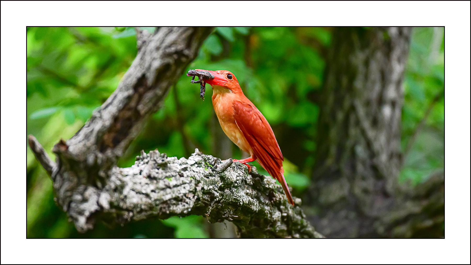 | PHOTO BY : 삿갓/정봉식  |