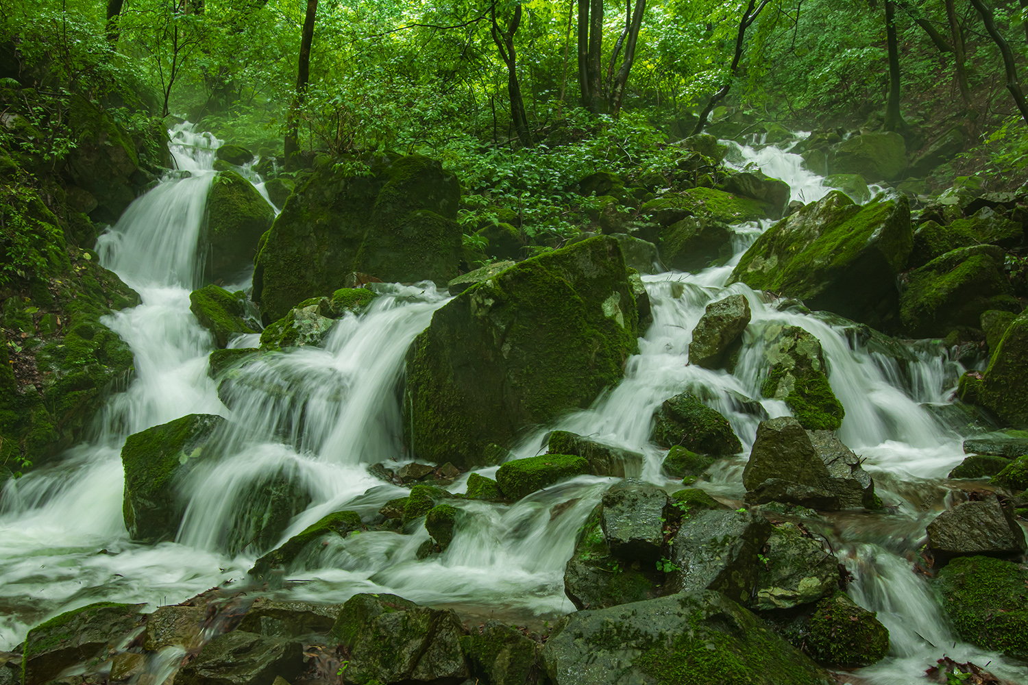 PHOTO BY  | NIKON D850 | 2024:07:09 11:31:22 | ISO-320 | 1/10 sec | f 9 | 26 mm | EV=0 | ● WIDTH:1500 pixels  HEIGHT:1000 pixels