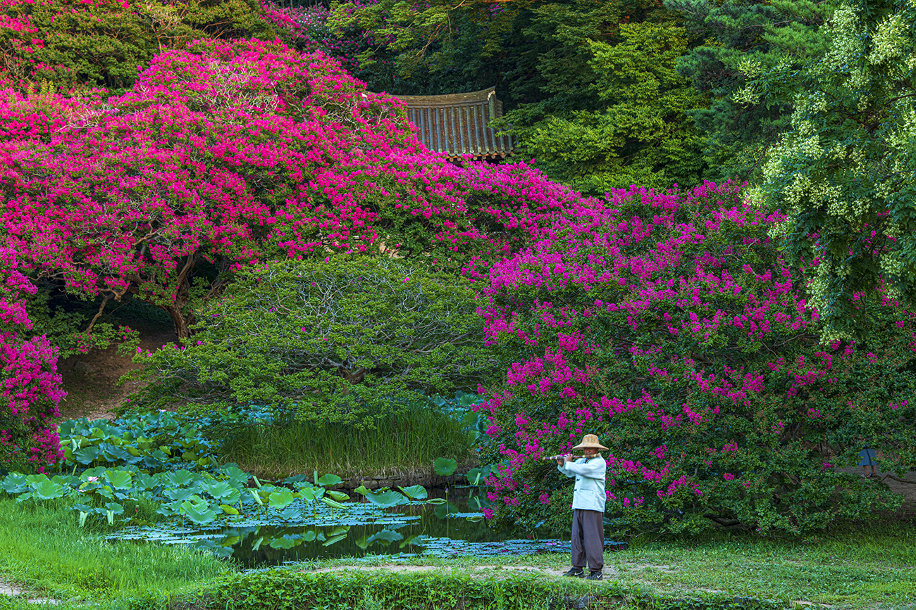 PHOTO BY  | KON CORPORA |  | ISO- |  |  |  | EV=0 | ● WIDTH:  HEIGHT: