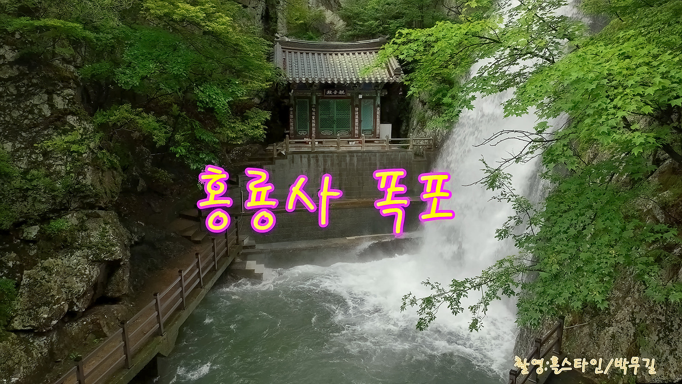   | PHOTO BY : 홀스타인/박무길  |