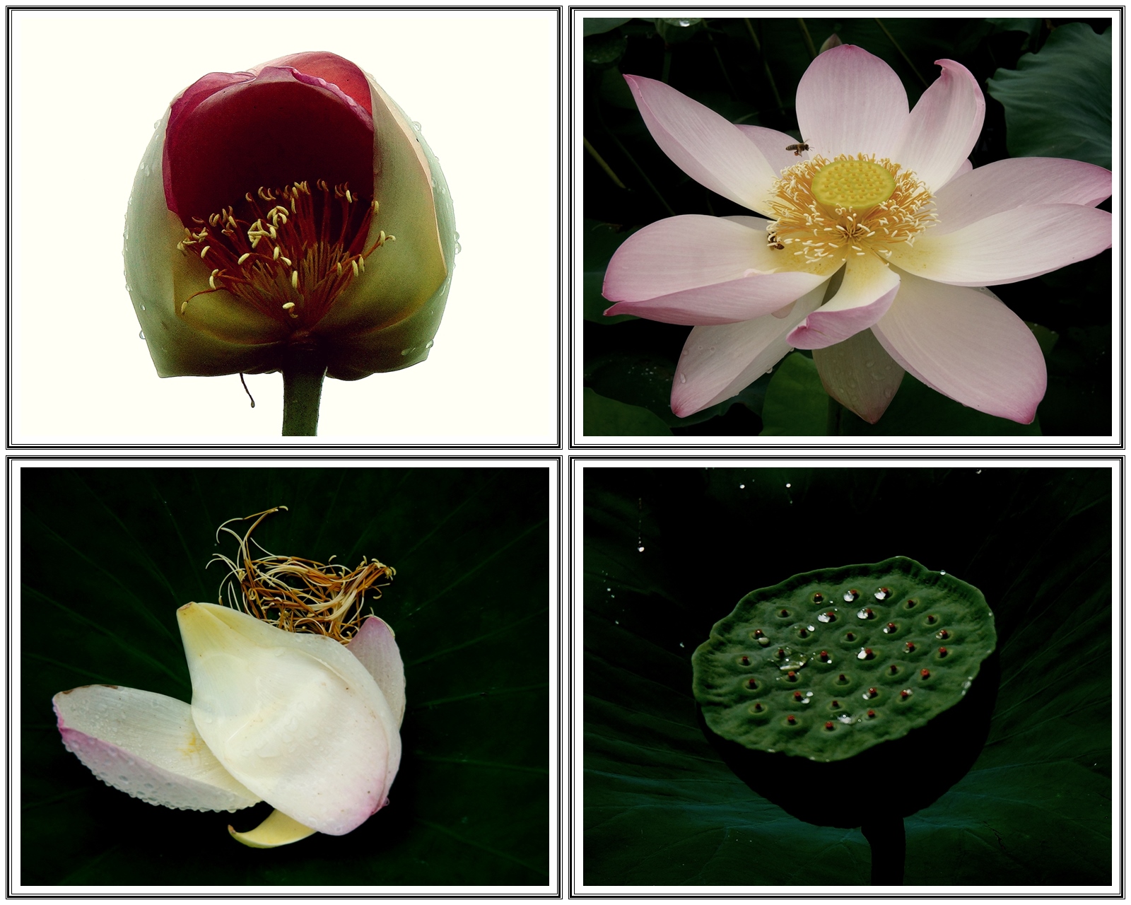   | PHOTO BY : 청산이종원  |