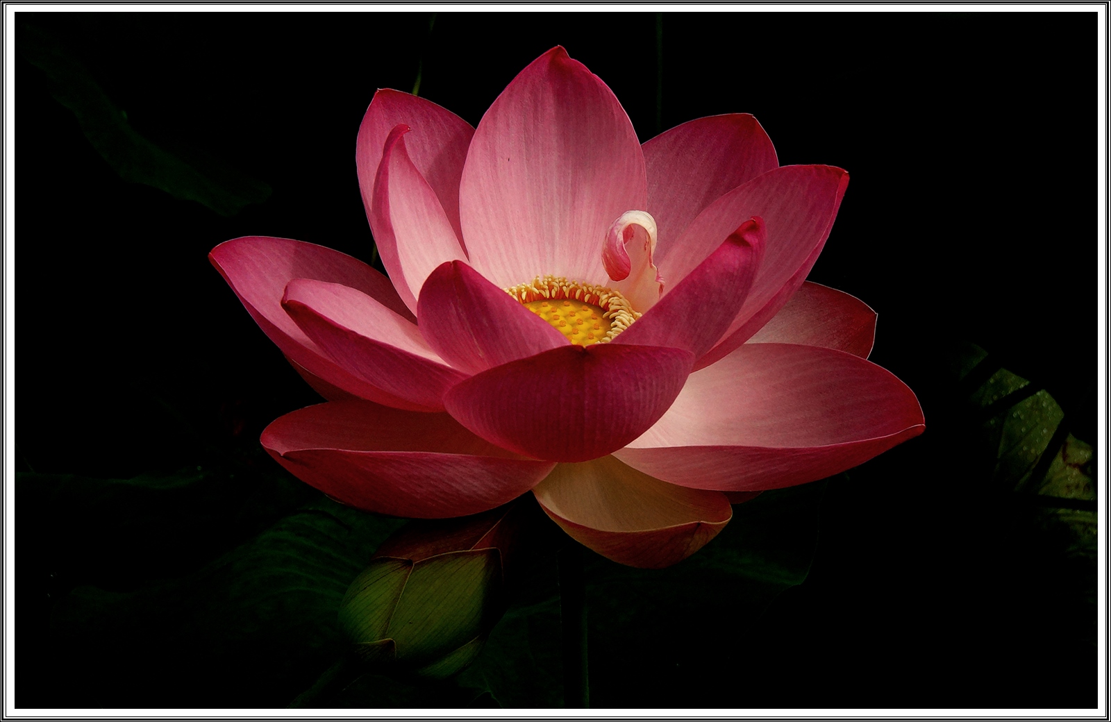 PHOTO BY  | SLT-A65V | 2025:02:02 21:33:07 | ISO-400 | 1/1600 sec | f 9 | 24 mm | EV=0.3 | ● WIDTH:6000 pixels  HEIGHT:4000 pixels