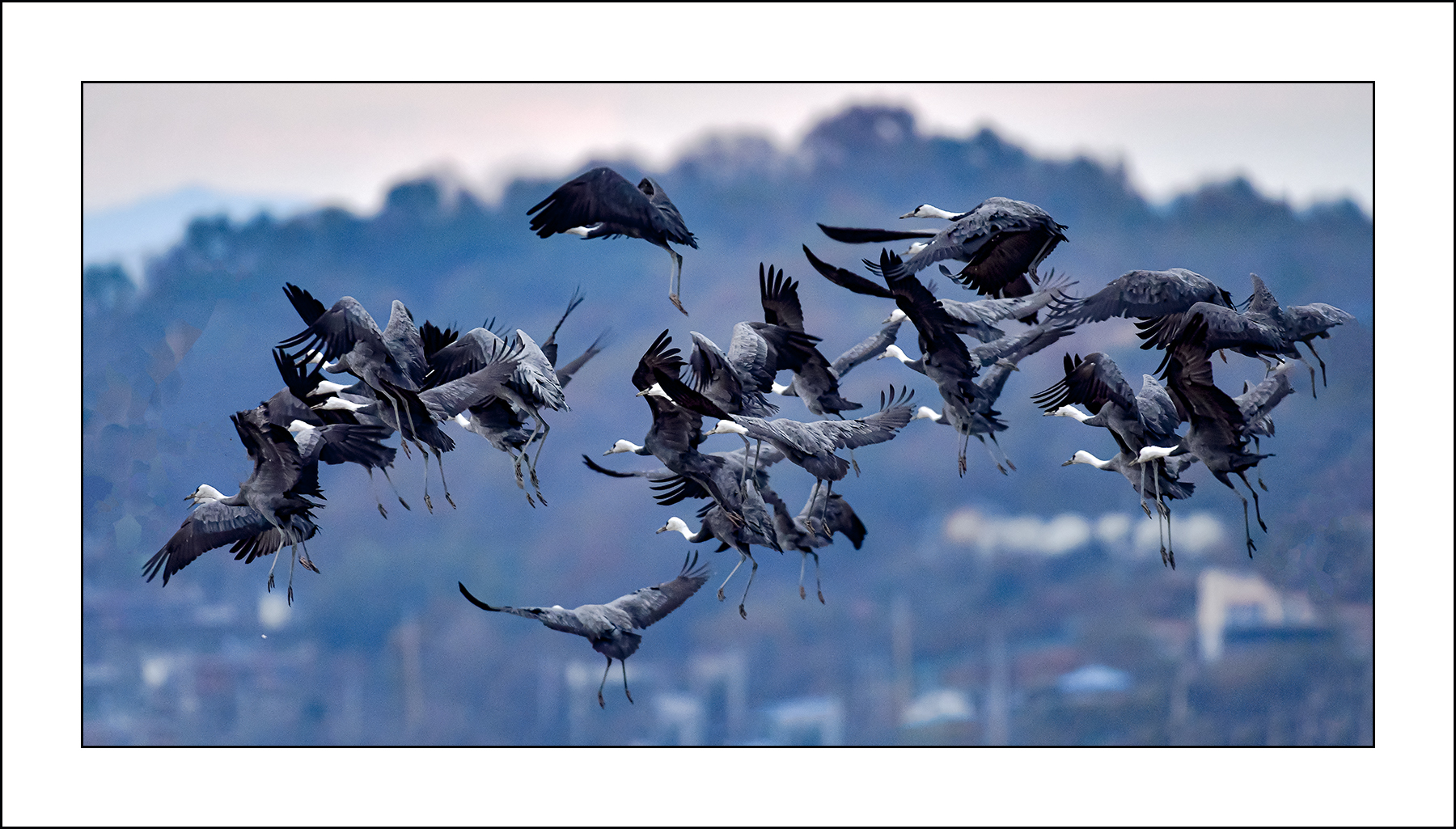   | PHOTO BY : 삿갓/정봉식  |