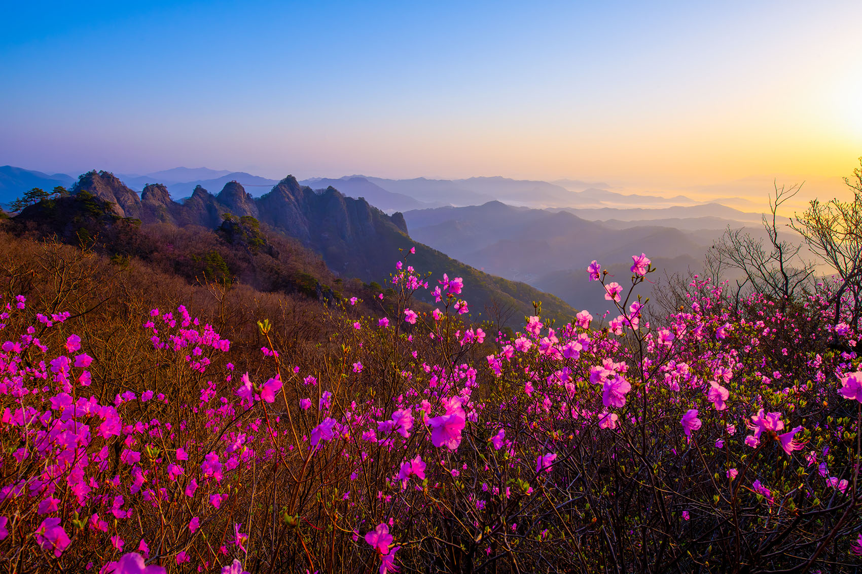 PHOTO BY  | NIKON D850 | 2024:04:13 06:14:03 | ISO-320 | 1/200 sec | f 16 | 21 mm | EV=0 | ● WIDTH:1700 pixels  HEIGHT:1133 pixels