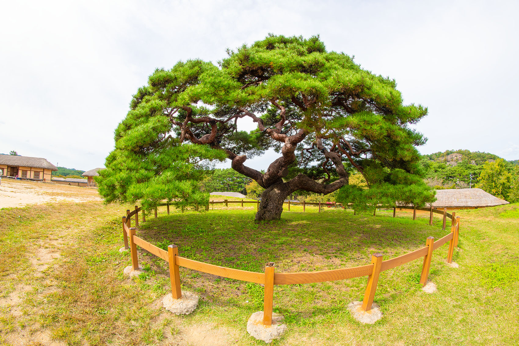 PHOTO BY  | NIKON D850 | 2023:10:07 12:27:38 | ISO-400 | 1/500 sec | f 11 | 12 mm | EV=0 | ● WIDTH:1700 pixels  HEIGHT:1133 pixels