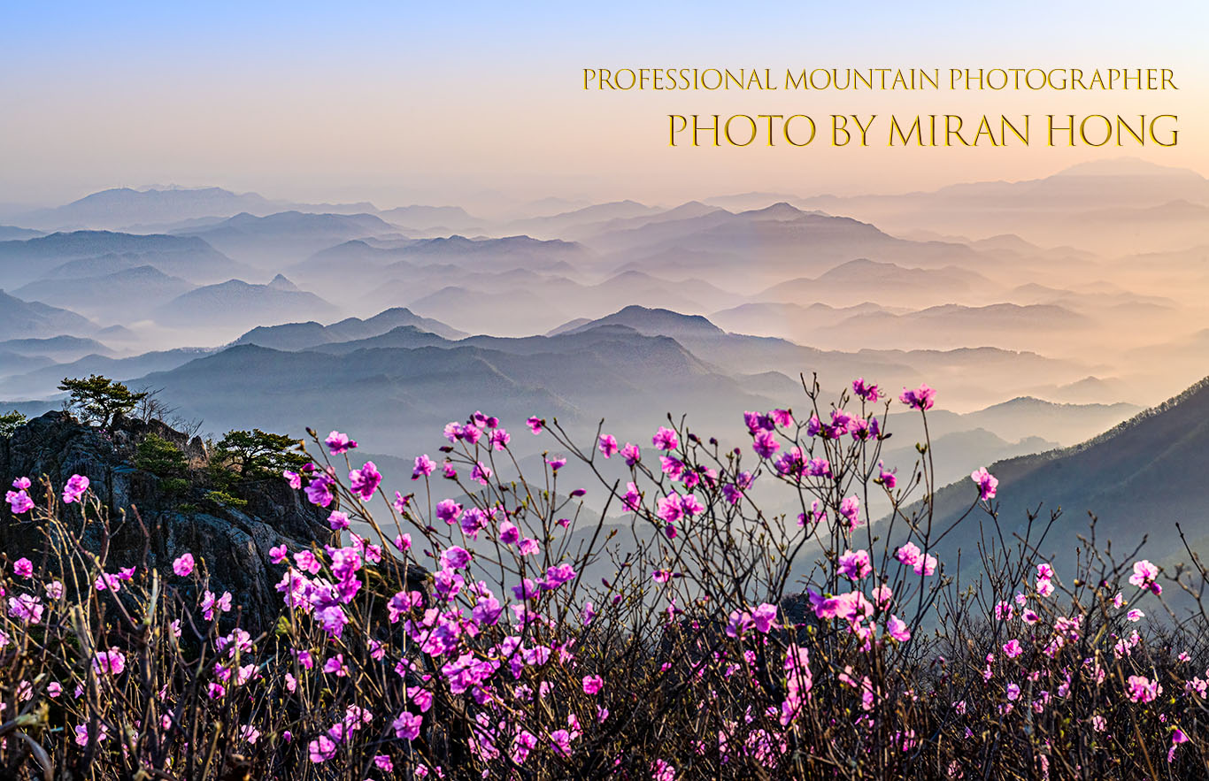 PHOTO BY Hong Mi Ran | NIKON D850 | 2024:04:13 06:30:07 | ISO-200 | 1/320 sec | f 14 | 66 mm | EV=-0.3 | ● WIDTH:1366 pixels  HEIGHT:883 pixels