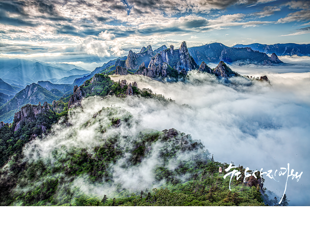   | PHOTO BY : 수당/박상돈  |