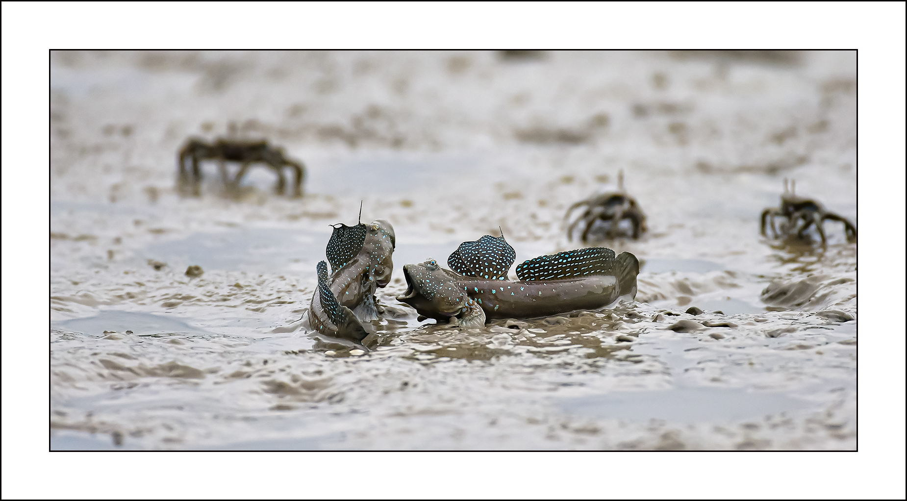   | PHOTO BY : 삿갓/정봉식  |