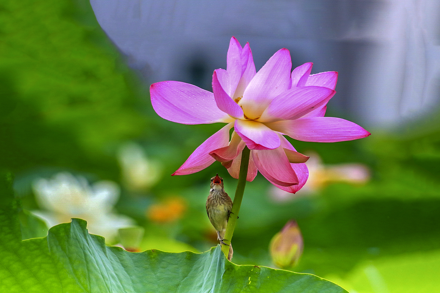 PHOTO BY  | CanonCanon |  | ISO- |  |  |  | EV=0 | ● WIDTH:  HEIGHT: