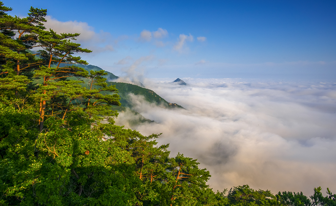 PHOTO BY  | NIKON D850 | 2024:07:11 06:32:49 | ISO-100 | 1/500 sec | f 11 | 25 mm | EV=-1.3 | ● WIDTH:1400 pixels  HEIGHT:860 pixels