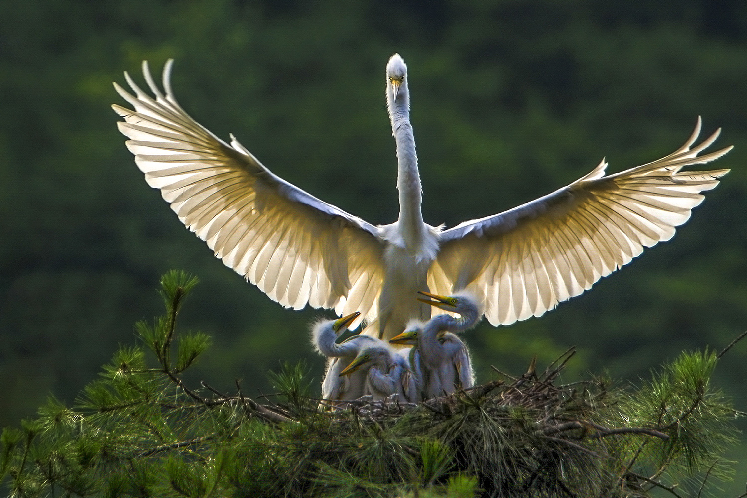 PHOTO BY  | CanonCanon  |  | ISO- |  |  |  | EV=0 | ● WIDTH:  HEIGHT: