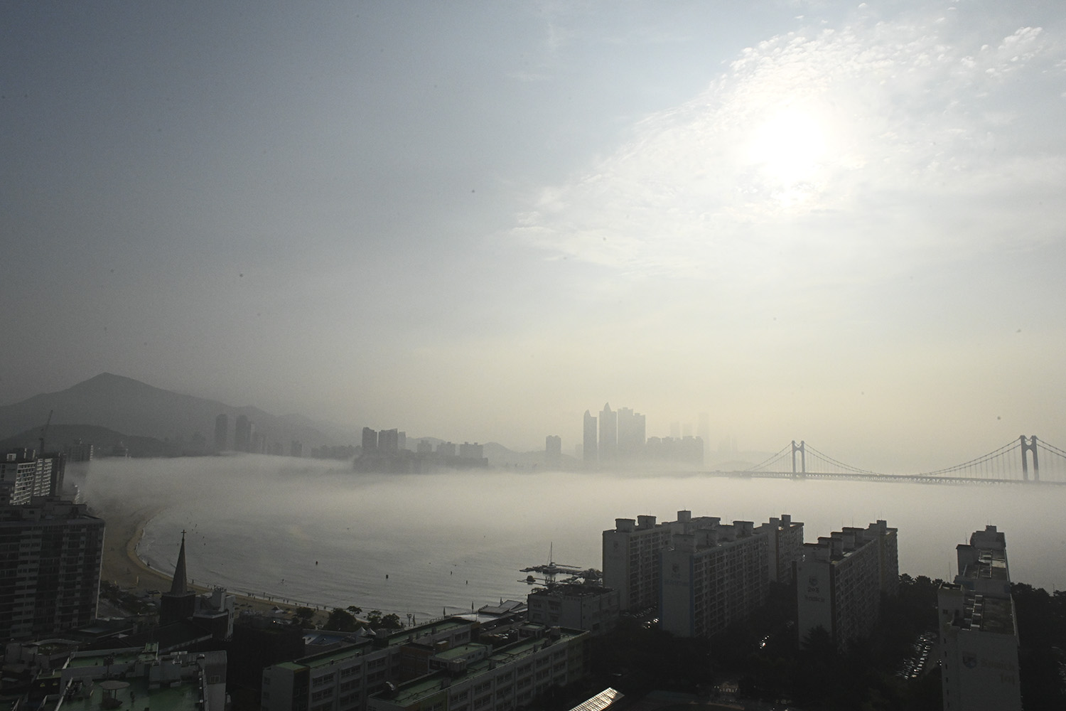 PHOTO BY  | NIKON Z 7 | 2024:07:13 07:28:54 | ISO-5000 | 1/8000 sec | f 22 | 24 mm | EV=0 | ● WIDTH:1500 pixels  HEIGHT:1000 pixels