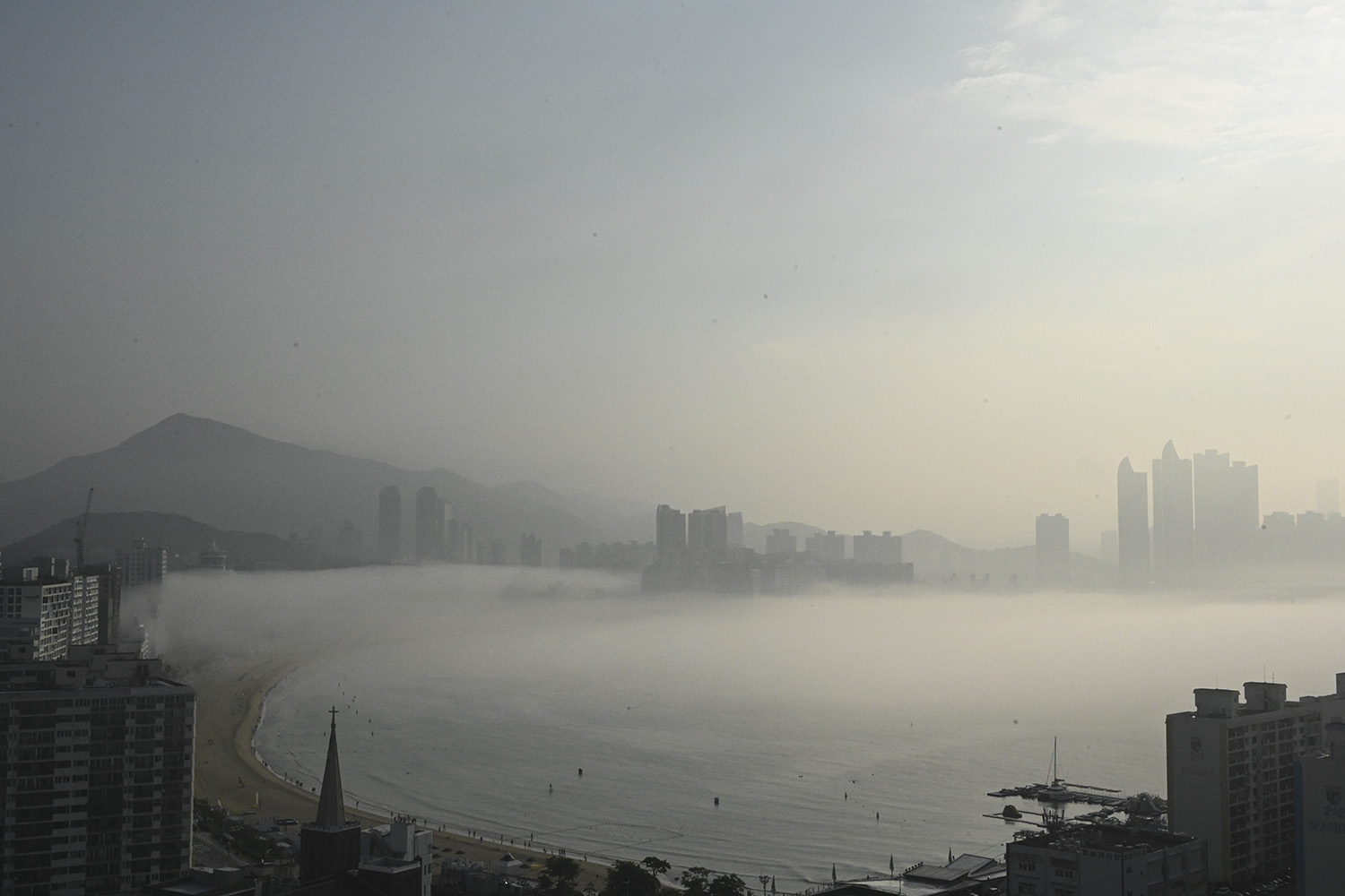 PHOTO BY  | NIKON Z 7 | 2024:07:13 07:29:15 | ISO-5000 | 1/8000 sec | f 22 | 38 mm | EV=0 | ● WIDTH:1500 pixels  HEIGHT:1000 pixels