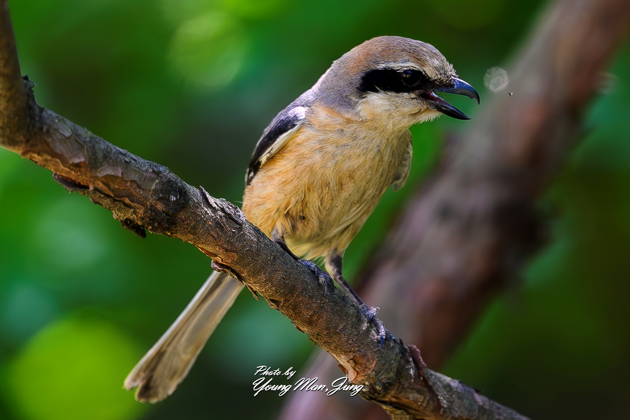   | PHOTO BY : 카파/정영만  |