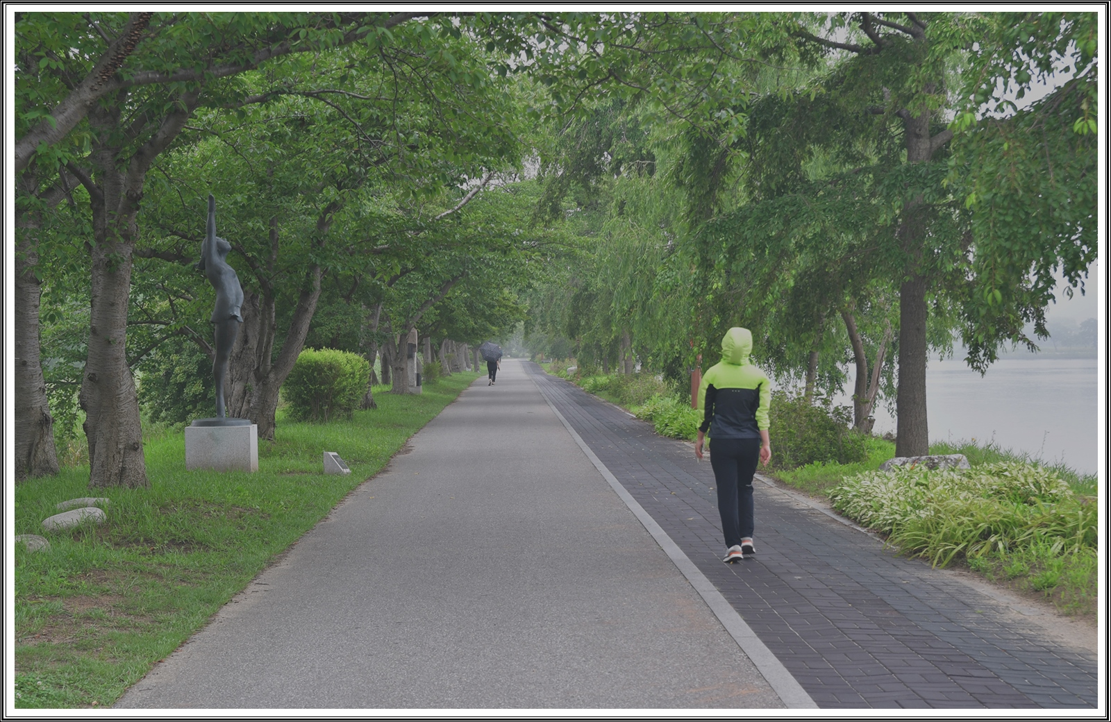 PHOTO BY  | NIKON D500 | 2024:07:13 08:42:17 | ISO-280 | 1/90 sec | f 5.6 | 50 mm | EV=0.5 | ● WIDTH:5568 pixels  HEIGHT:3712 pixels