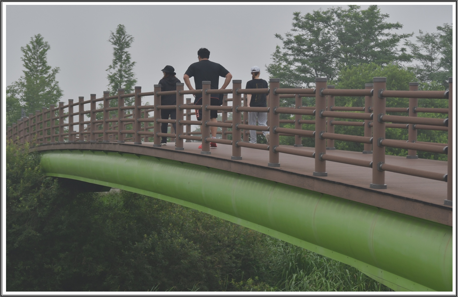 PHOTO BY  | NIKON D500 | 2024:07:13 08:19:07 | ISO-280 | 1/750 sec | f 3.3 | 50 mm | EV=0.5 | ● WIDTH:5568 pixels  HEIGHT:3712 pixels